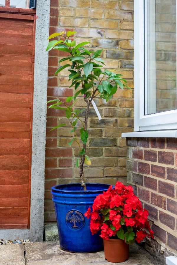 Red Cherry House Watford  Exteriér fotografie